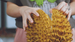 榴蓮剝好肉后，搗成泥狀。