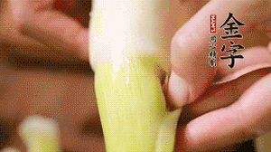 茭白剝?nèi)ネ鈿?，先切片再切絲。