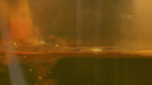 雞肉、鹽、料酒入冷水鍋水開后撇去浮沫，溫水洗凈。