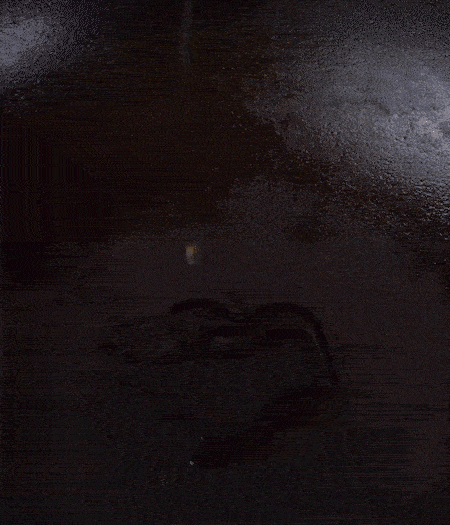 冷鍋熱油，下蒜片爆香，下香腸、玉米筍、蓮藕、西芹爆炒，期間加點水，翻炒1分鐘后加新鮮百合片，翻炒30秒。