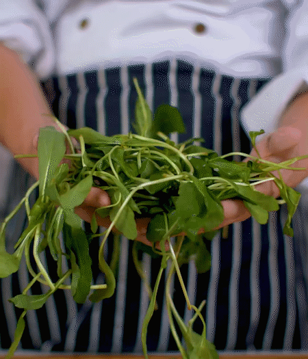 馬蘭頭焯水，切成細(xì)末。